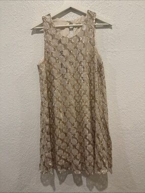 Ellison Metallic Lace Mini Dress in Cream and Gold